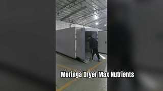 Στεγνωτήριο αντλίας θερμότητας Coattech 7-HP | Βιομηχανική αφυδάτωση Moringa